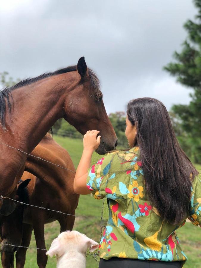 Pousada Recanto Aguas Vivas Turvo dos Gois المظهر الخارجي الصورة